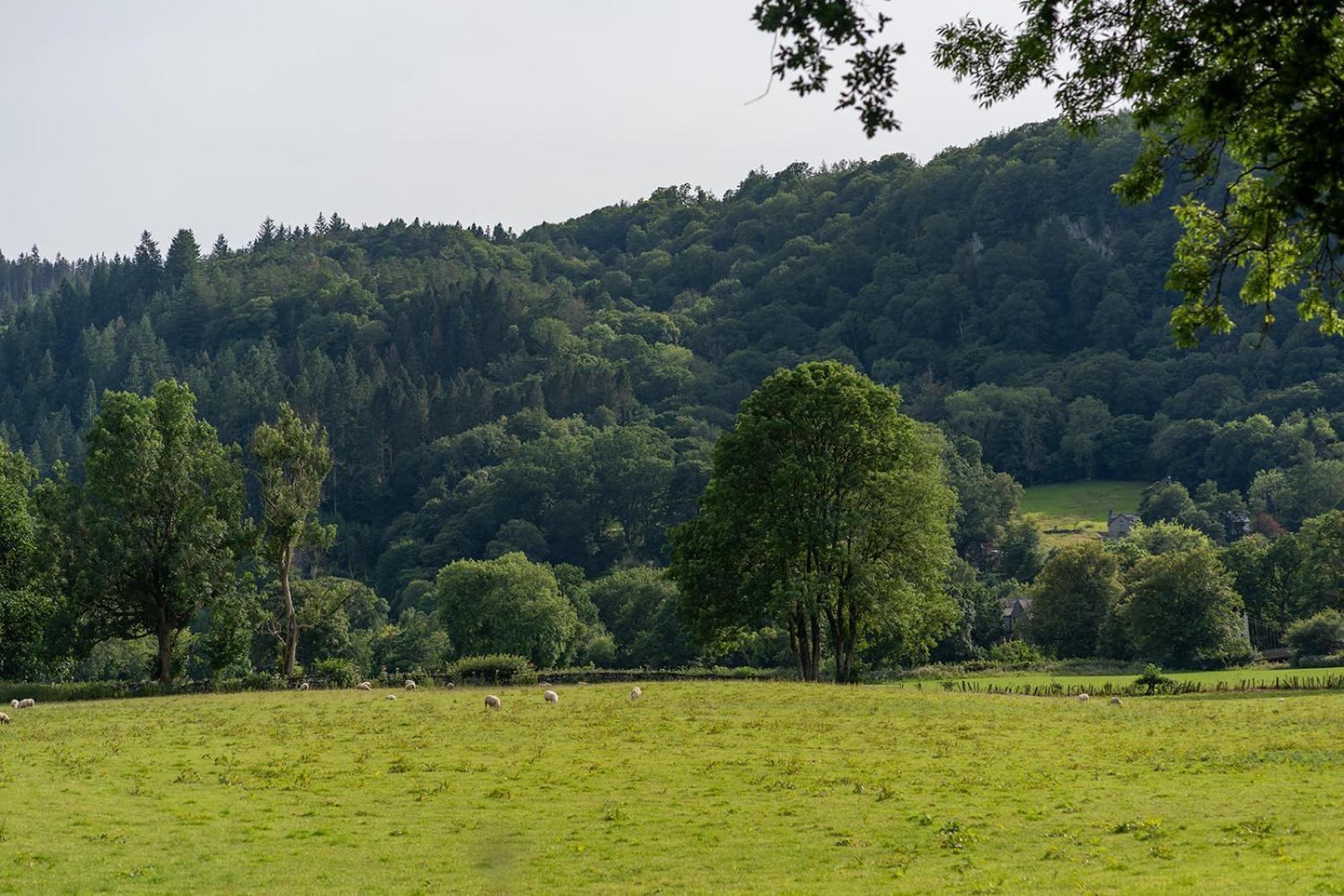 Glanrhyd Cottage Betws-y-Coed Exterior photo